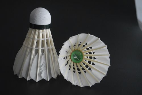 重要影响力 重要影响力