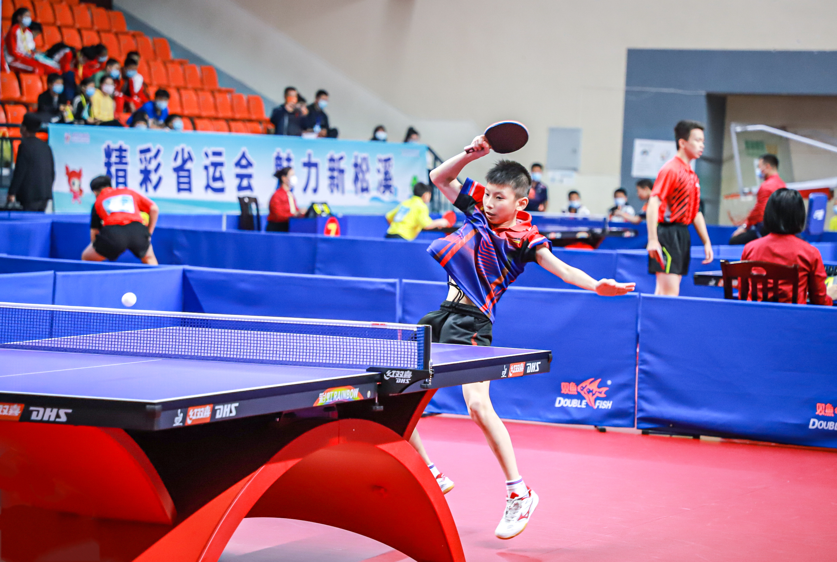 形成了明显 形成了明显